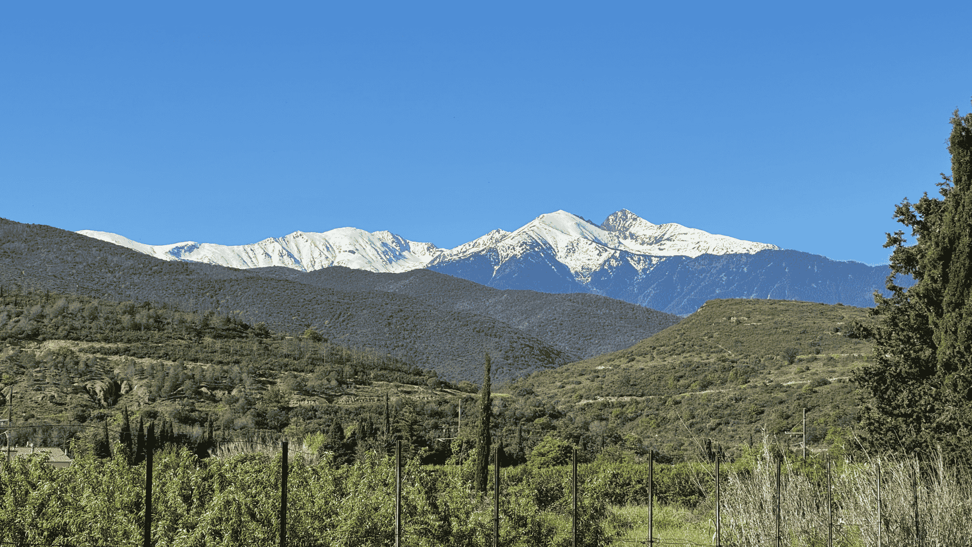 Le Canigou dans les Pyrénées orientales
