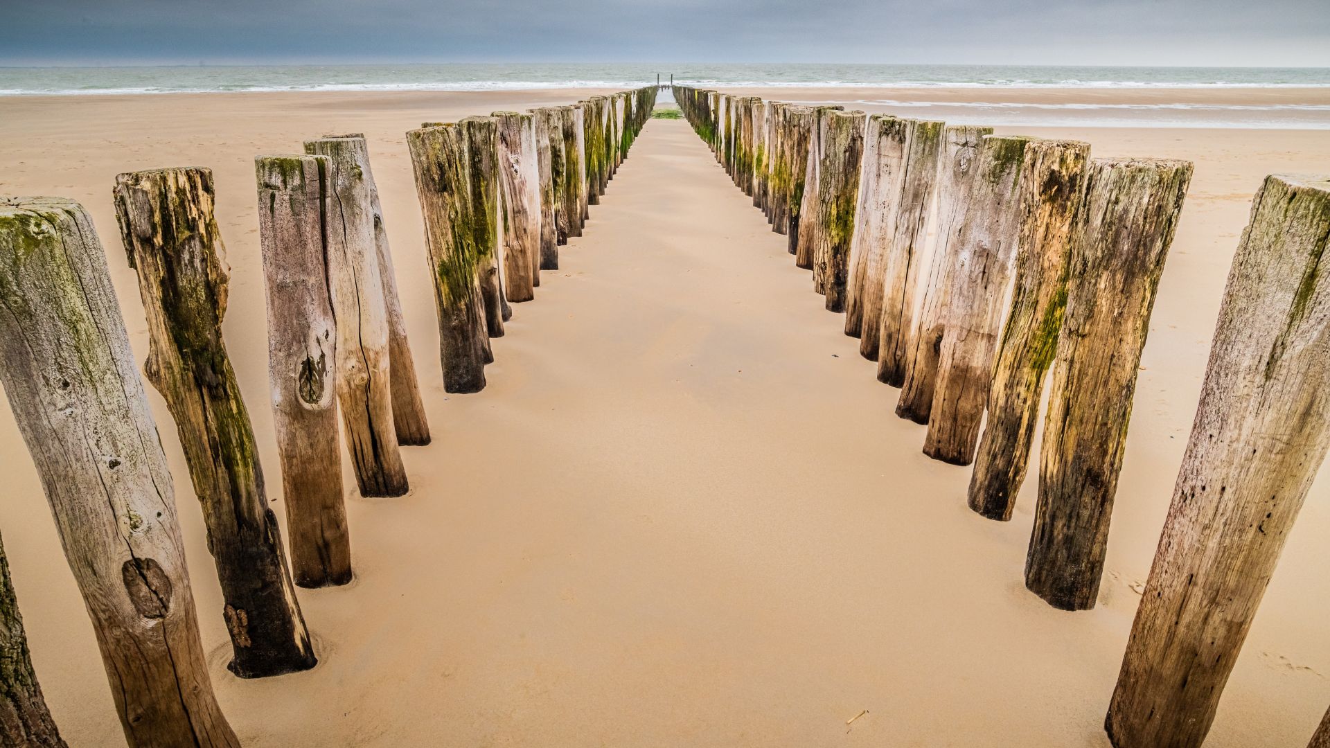 Planches de bois sur le sable d’un littoral, entre aménagement humain et paysage naturel