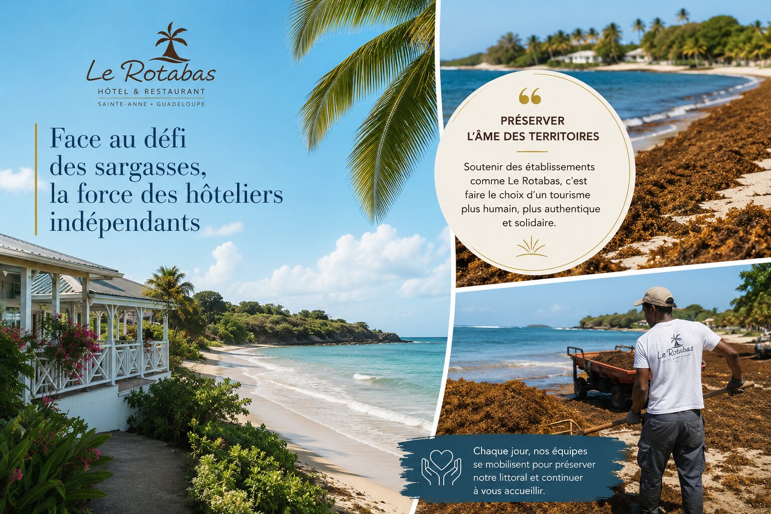 Le Rotabas face au défi des sargasses à Sainte-Anne en Guadeloupe, tourisme durable et hôtellerie indépendante