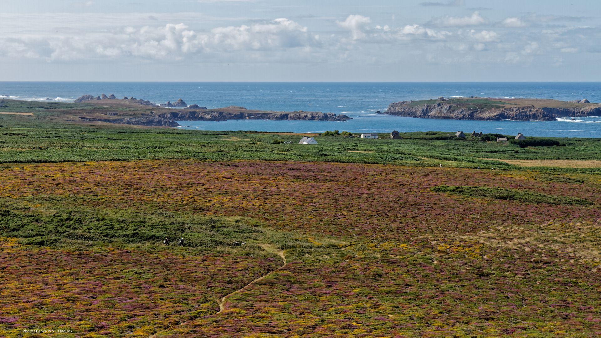 Vue panoramique d’Ouessant entre lande, falaises et océan Atlantique